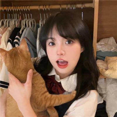 女贼金丝猫